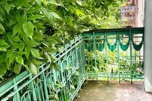 Квартира 2 комнатная, возле Политехнического университета. Апартаменты 4-местный  10