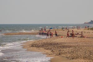 АкунаМатата 16