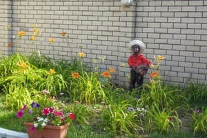 АкунаМатата 7