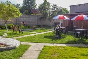 АкунаМатата 5