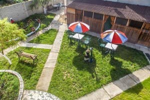 АкунаМатата 4