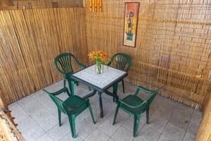 АкунаМатата 12