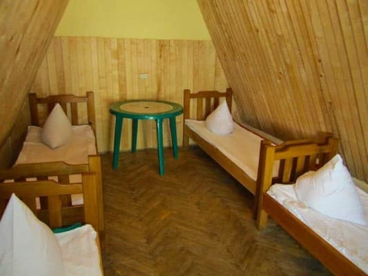 Альбатрос 14