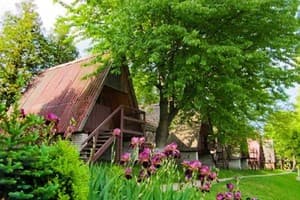 База отдыха Альбатрос. Эконом 4-местный колыба 4