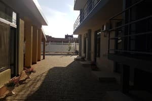 Александрия 8