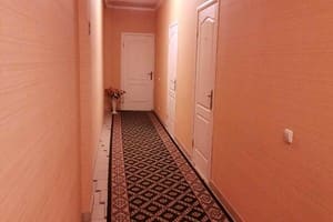 Александрия 15