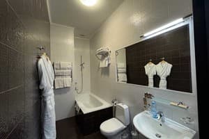 Отель Александровский. Полулюкс двухместный  6