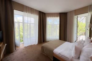 Отель Александровский. Полулюкс двухместный  4