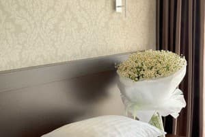 Отель Александровский. Стандарт двухместный  7