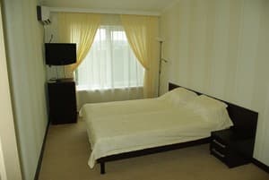 Гостинично-ресторанный комплекс Альянс. двухместный Классический 1