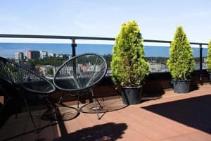 Апарт-отель Amsterdam Lviv Apartments. Люкс 4-местный с террасой 15