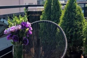 Апарт-отель Amsterdam Lviv Apartments. Люкс 6-местный с террасой 15