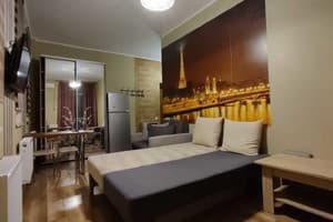 Апарт-отель Апартаменты Левада. Люкс двухместный studio 61 5