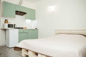 Апарт-отель Apartments at Kontorskaya 10. Апартаменты двухместный  1