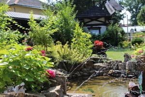 Aquarius Eco-Hotel-Grill-Restaurant 5