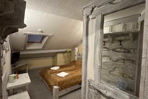 Парк-отель Aquarius Eco-Hotel-Grill-Restaurant. Стандарт двухместный мансардный 3