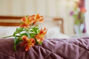 Отель Атлас Делюкс. Полулюкс одноместный  1