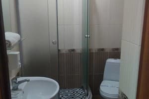 Отель Avino Apart Hotel. Комфорт двухместный  4