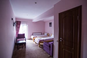 Отель Avino Apart Hotel. Стандарт двухместный с удобствами 5