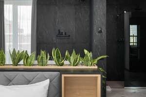 Апарт-отель Be The One Hotel. Люкс двухместный  19