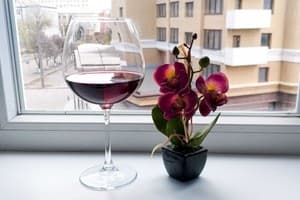 Квартира Белая студия рядом с Южным вокзалом. Апартаменты двухместный  22