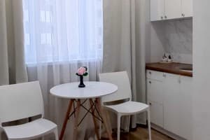 Квартира Белая студия рядом с Южным вокзалом. Апартаменты двухместный  6