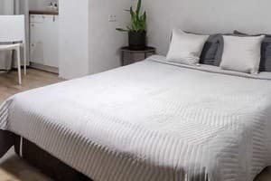 Квартира Белая студия рядом с Южным вокзалом. Апартаменты двухместный  21