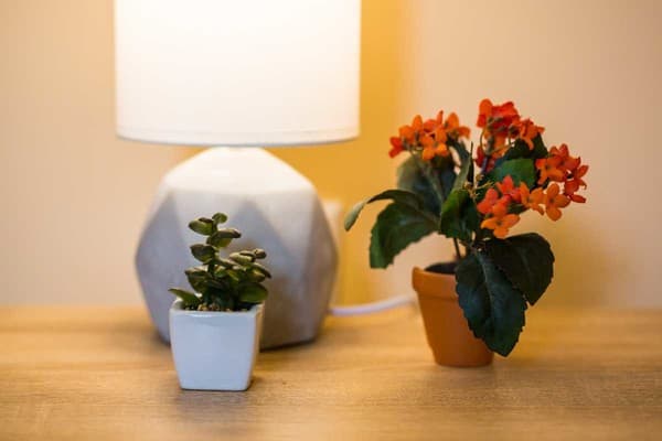 Best Place near Lviv Polytechnic 4