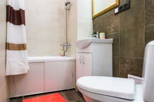 Квартира Best Place near Lviv Polytechnic. Апартаменты трехместный  6