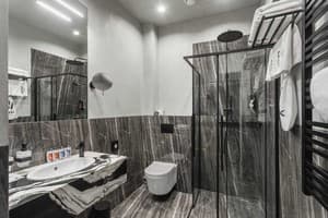 Отель Brik Hotel. Делюкс двухместный  4