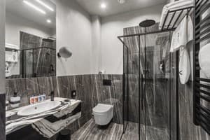 Отель Brik Hotel. Полулюкс двухместный  5