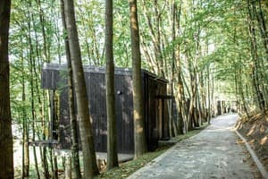 База отдыха Бухта Викингов. Апартаменты двухместный  4