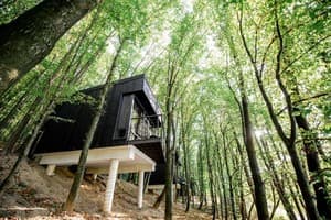 База отдыха Бухта Викингов. Апартаменты двухместный  5