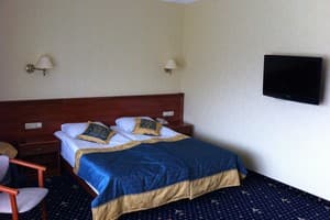 База отдыха Бухта Викингов. Люкс двухместный  1