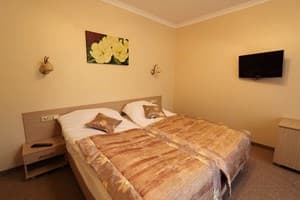 База отдыха Бухта Викингов. Стандарт двухместный  1