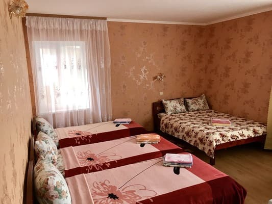 Буревестник 411А 4