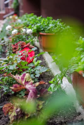 Буревестник 411А 1