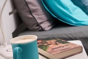 Central Apartments 5