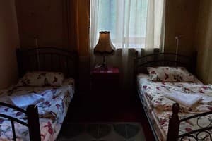 Мини-отель Central Park. Эконом двухместный twin 2