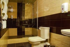 Отель Центральная усадьба. Улучшенный двухместный  7