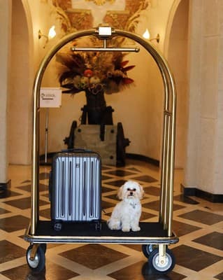 Citadel Gastro Boutique Hotel 21