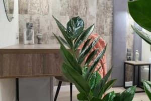 Отель Citylife Boutique Hotel. Студио двухместный  16