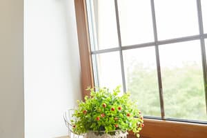 Отель Coin Hotel . Делюкс двухместный  4