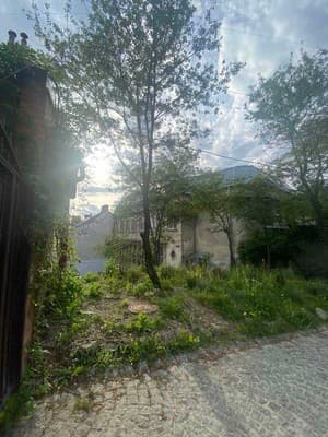 Даниил Галицкий 18