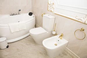 Отель De Versal. Люкс двухместный Президентский  с кроватью размера King size 10