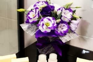 Отель De Versal. Улучшенный двухместный стандарт с кроватью размера King size 3