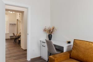 Квартира DeMar Apart Central. Люкс двухместный  6