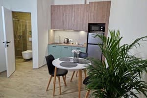 Квартира DeMar Apart Franka. Апартаменты двухместный  13