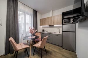 Квартира DeMar Apart Lilac. Люкс двухместный  13