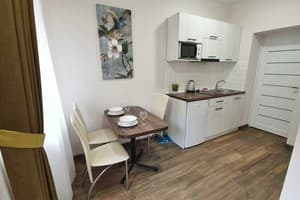 Квартира DeMar Apart Zamknena. Апартаменты двухместный DeMar Apart Zamknena 3 (+1) 12